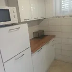 Appartement Mijic *